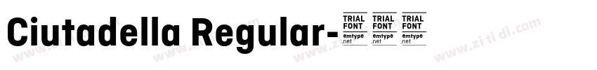 Ciutadella Regular字体转换